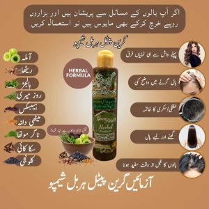 WhatsApp Image 2025-11-15 at 2.33